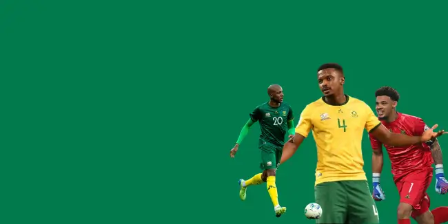 Hero image of South Africa history