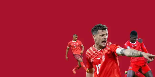 Hero image of Switzerland history