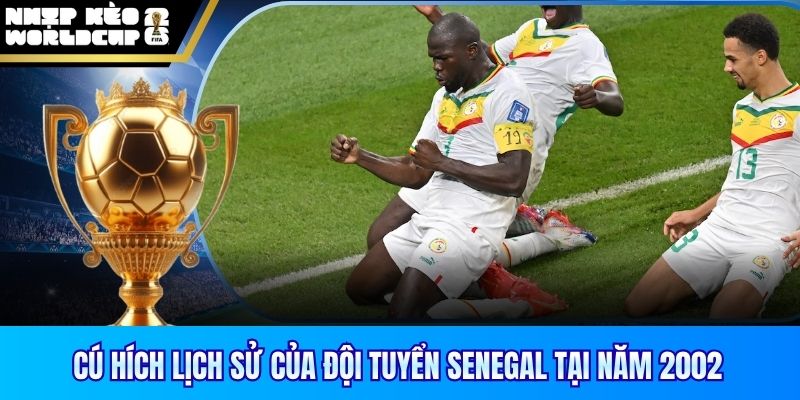 Cú hích lịch sử của đội tuyển Senegal tại năm 2002