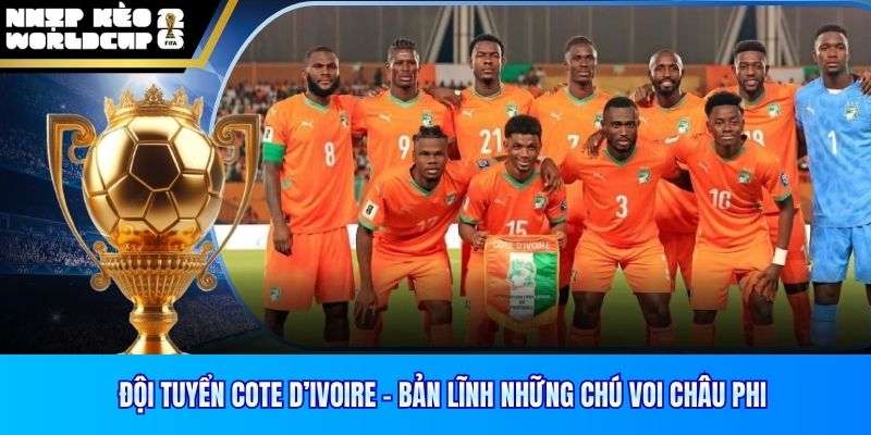 Teams photo of Cote d’Ivoire before match