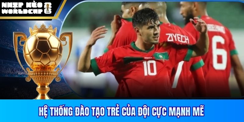 Hệ thống đào tạo trẻ của đội cực mạnh mẽ