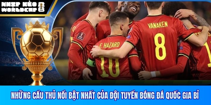 Những cầu thủ nổi bật nhất của Đội tuyển bóng đá quốc gia Bỉ
