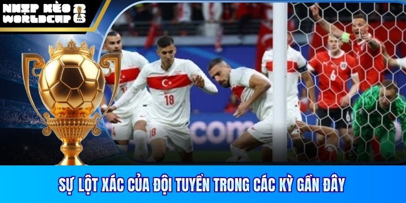 Sự lột xác của đội tuyển trong các kỳ gần đây