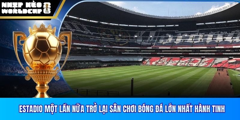Estadio một lần nữa trở lại sân chơi bóng đá lớn nhất hành tinh