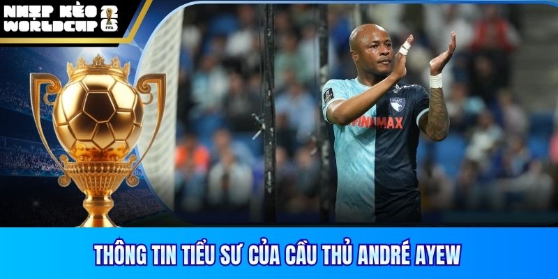 Thông tin tiểu sư của cầu thủ André Ayew